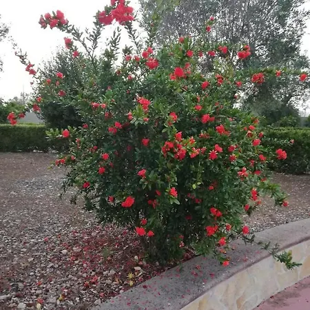 بيت للعطل Maria *